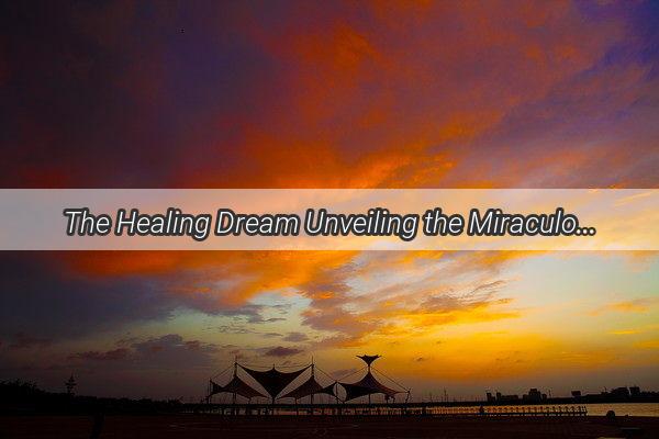 The Healing Dream Unveiling the Miraculous Power of a Woman in My Sleep